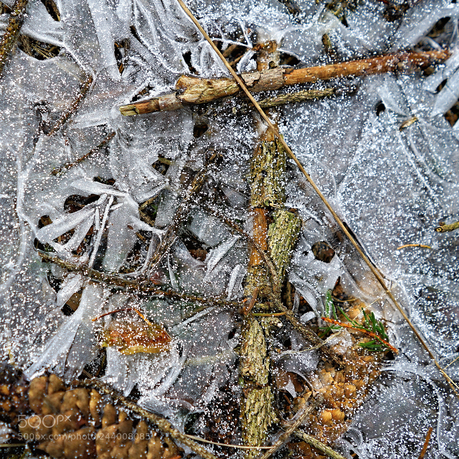 Sony a7 II sample photo. Frozen puddle photography
