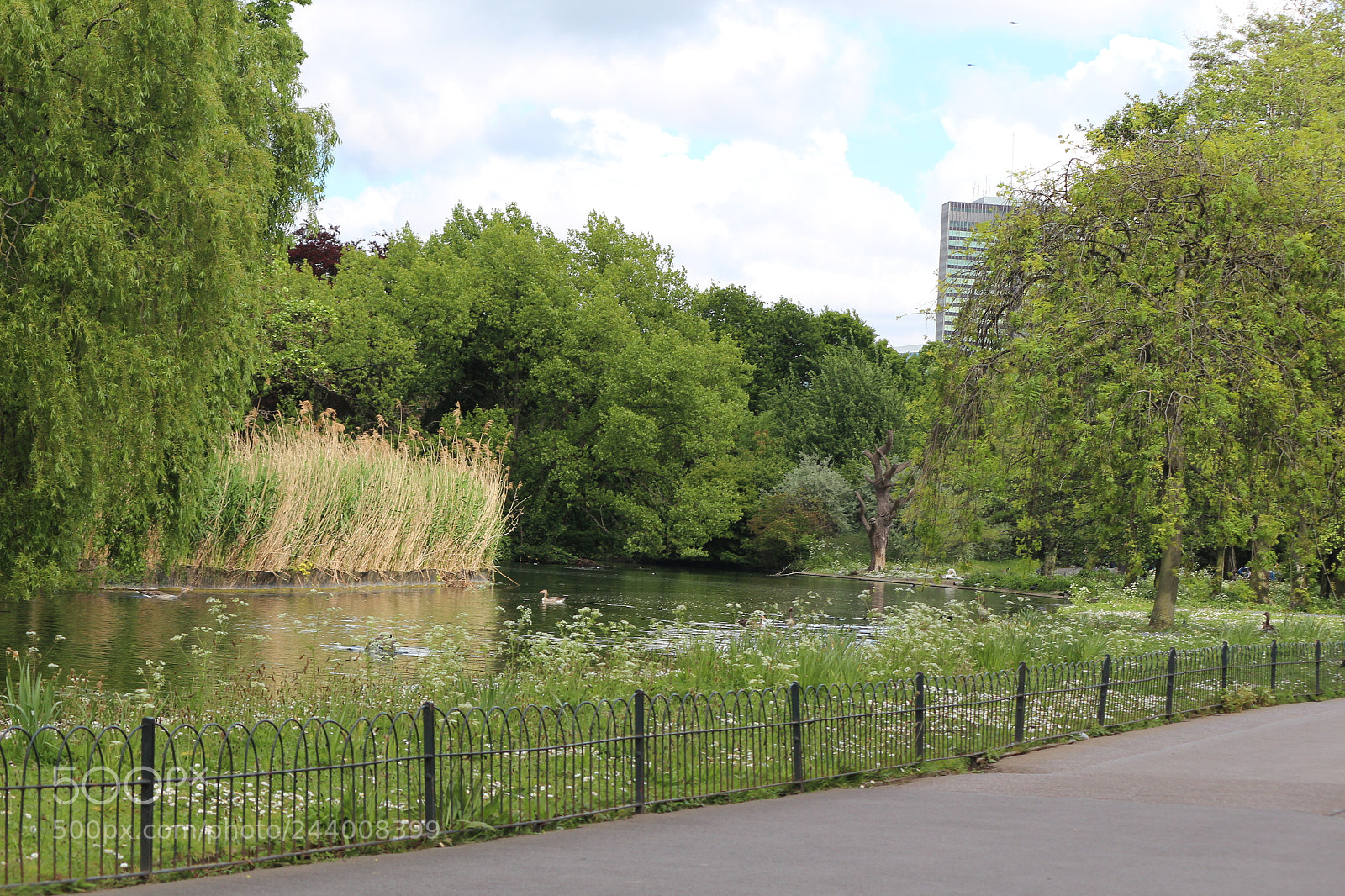 Canon EOS 650D (EOS Rebel T4i / EOS Kiss X6i) sample photo. Img photography