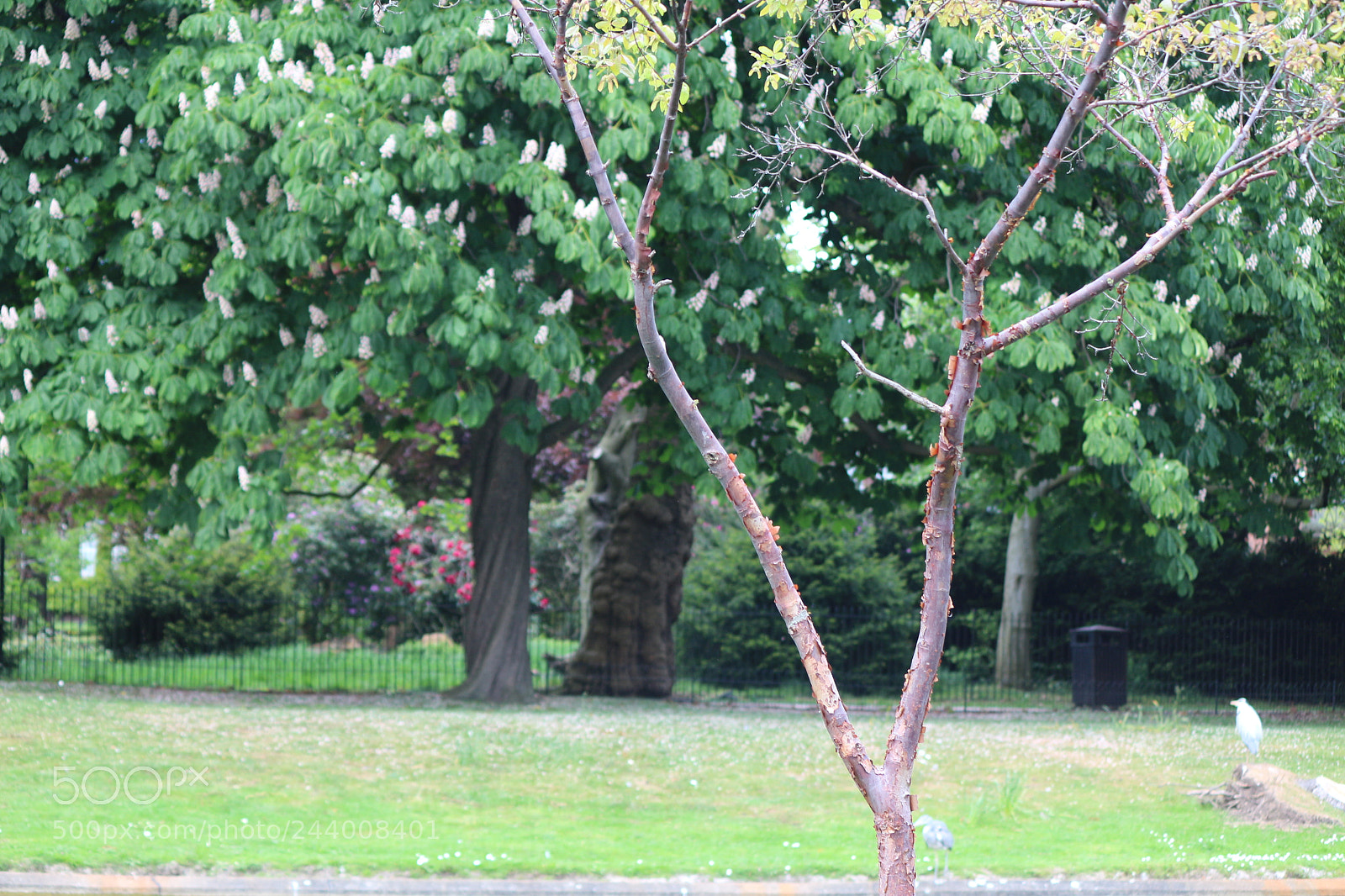 Canon EOS 650D (EOS Rebel T4i / EOS Kiss X6i) sample photo. Img photography