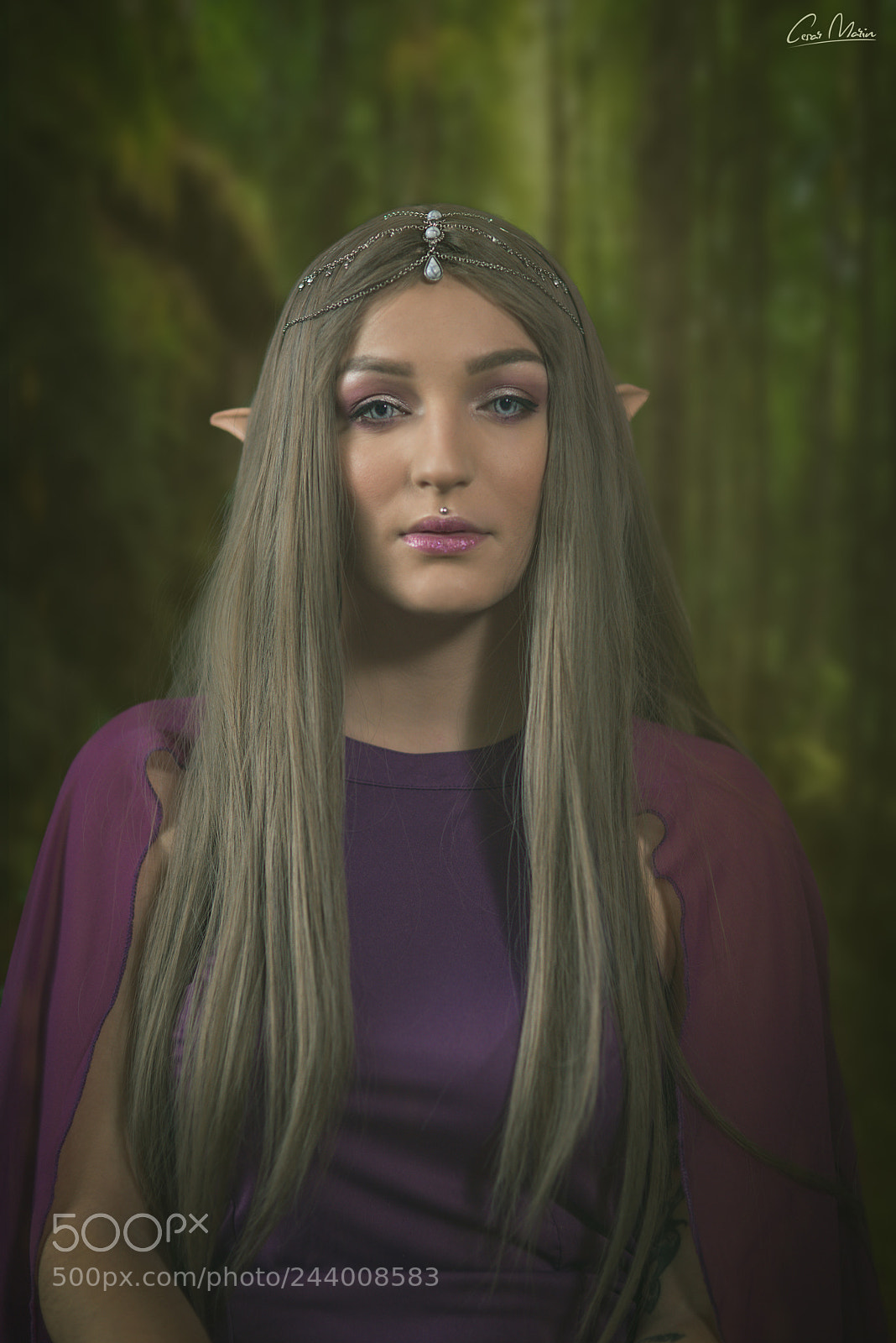 Nikon D800 sample photo. Elf photography