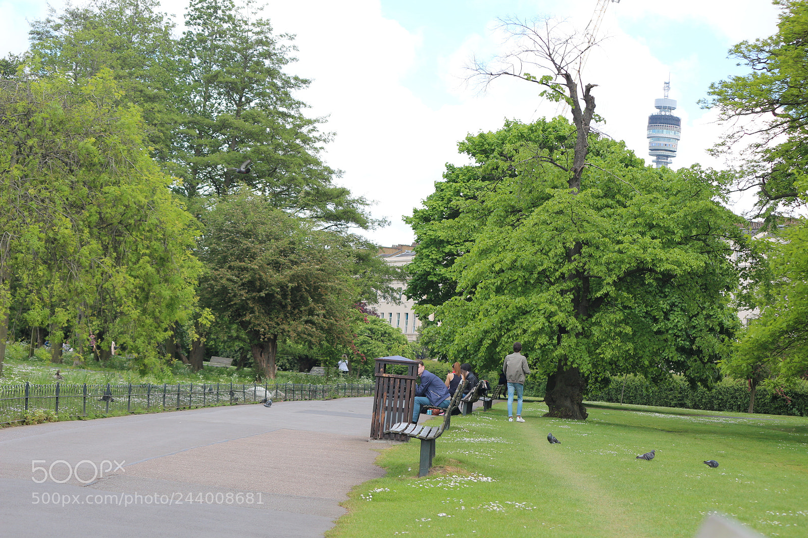 Canon EOS 650D (EOS Rebel T4i / EOS Kiss X6i) sample photo. Img photography