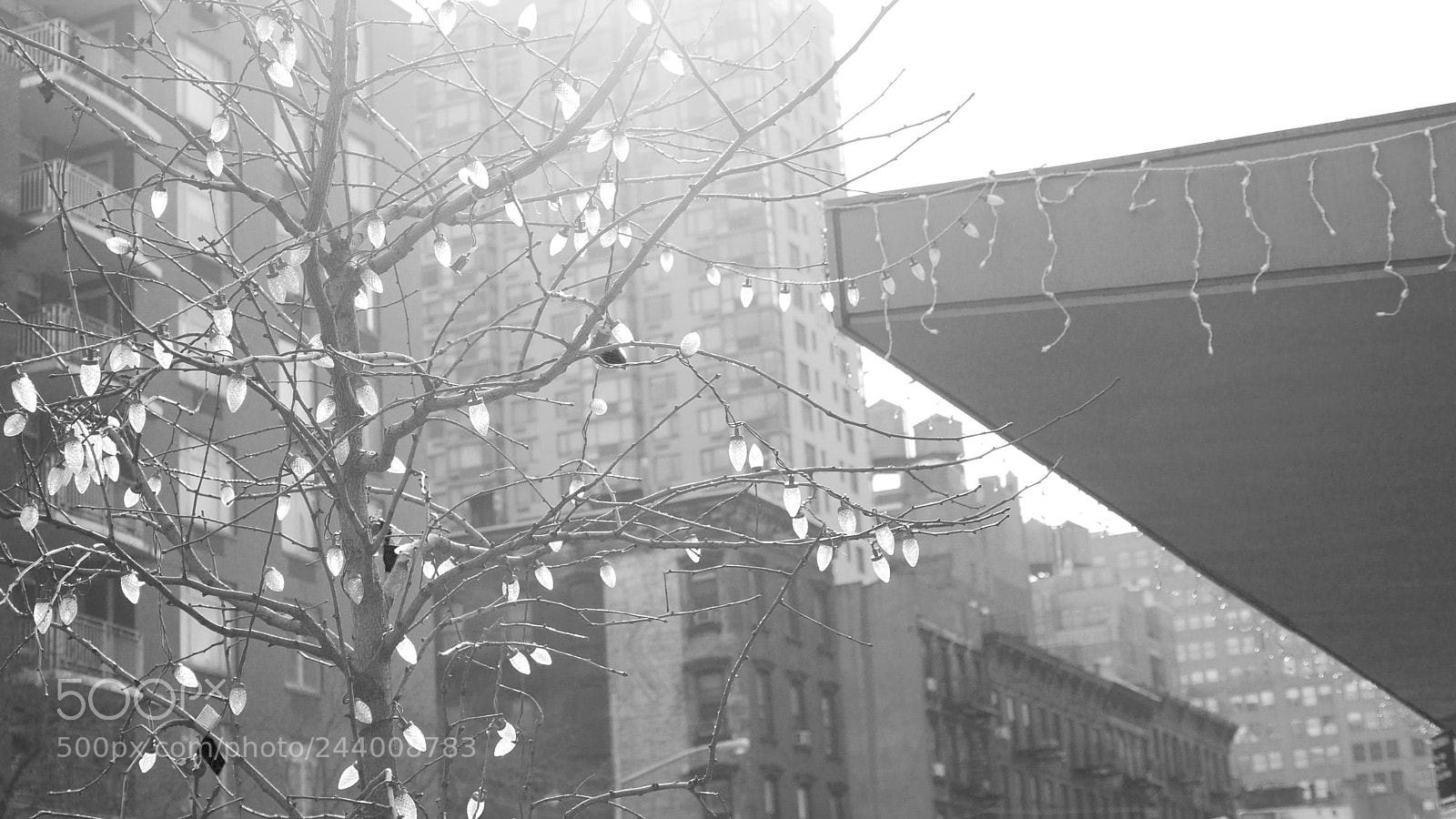 Panasonic Lumix DMC-GH3 sample photo. January photography