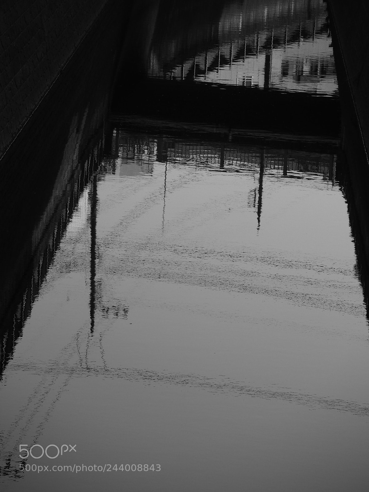 Olympus STYLUS1,1s sample photo. 水面 / minamo photography