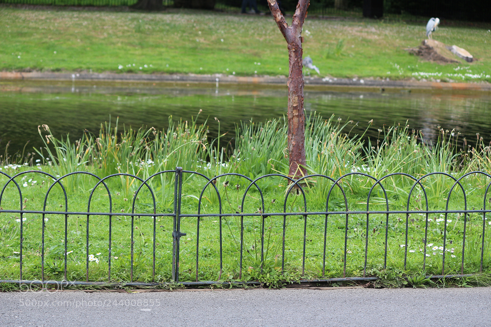 Canon EOS 650D (EOS Rebel T4i / EOS Kiss X6i) sample photo. Img photography