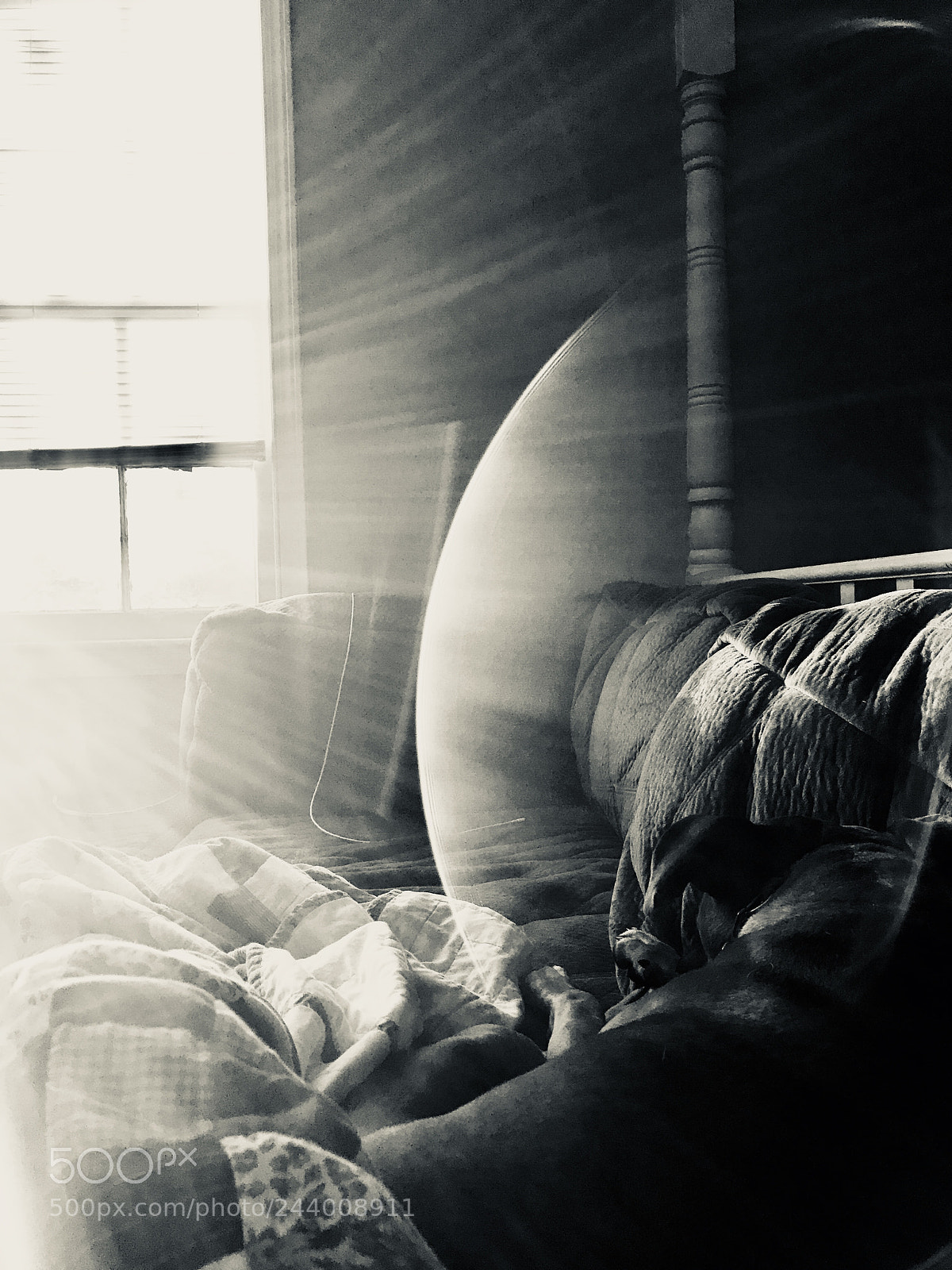 Apple iPhone 7 Plus sample photo. Afternoon nap photography