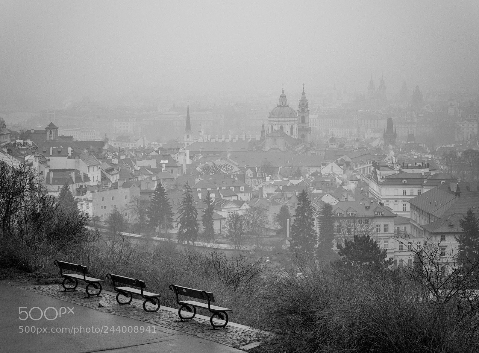 Nikon D600 sample photo. Foggy prague on saturday photography