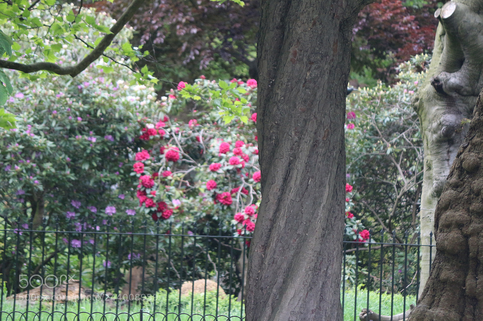 Canon EOS 650D (EOS Rebel T4i / EOS Kiss X6i) sample photo. Img photography