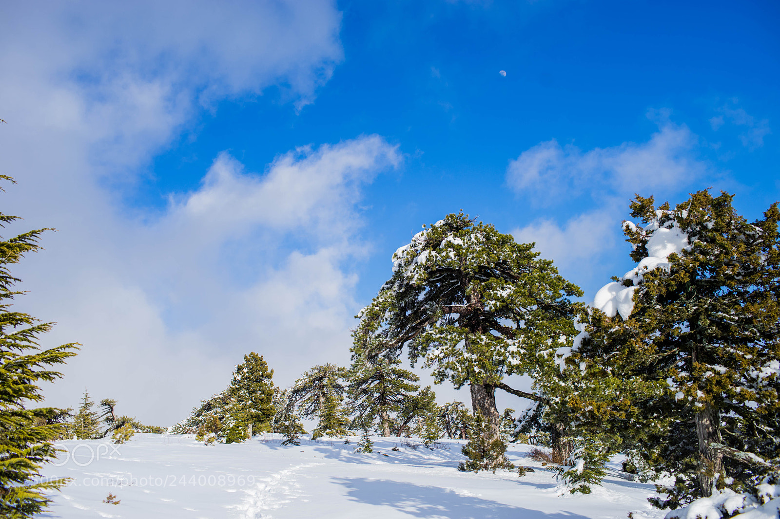 Sony a7 II sample photo. Snow in trodos photography