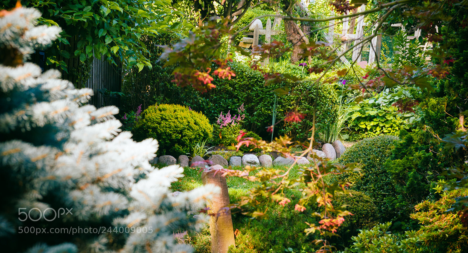 Nikon D800 sample photo. Summer garden photography