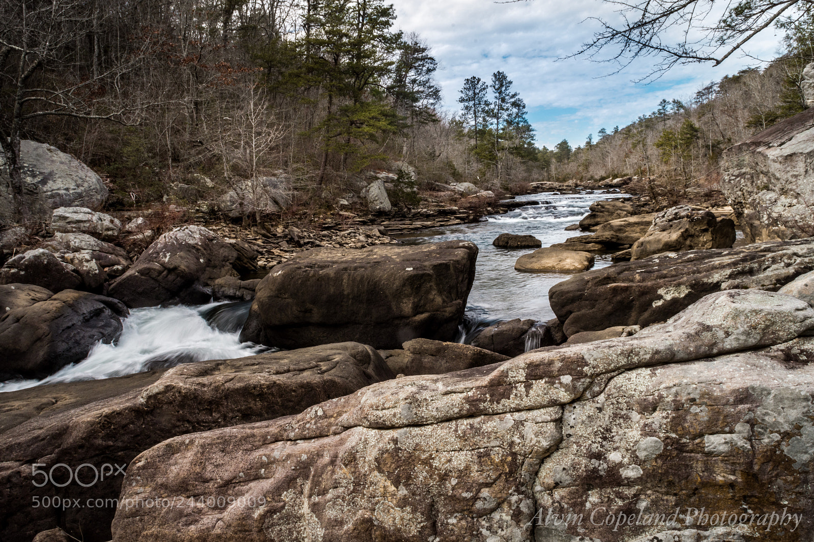 Nikon D7200 sample photo. Along the river photography