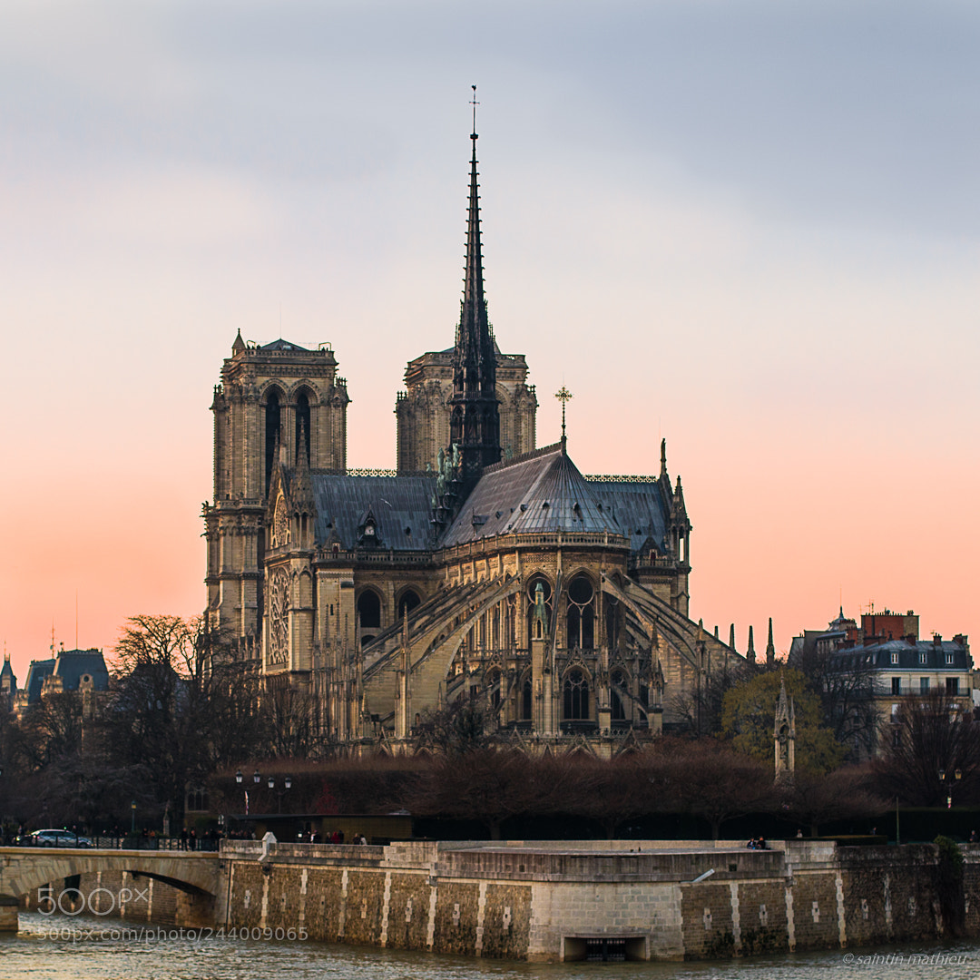 Canon EOS 7D Mark II sample photo. Last colors at notre-dame photography