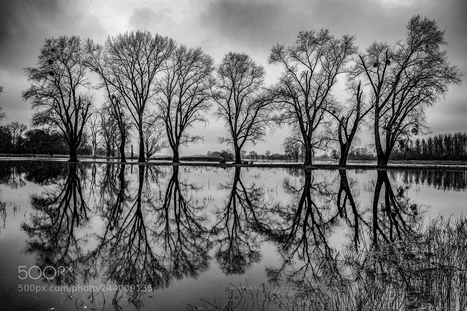 Fujifilm X-T2 sample photo. Reflection photography