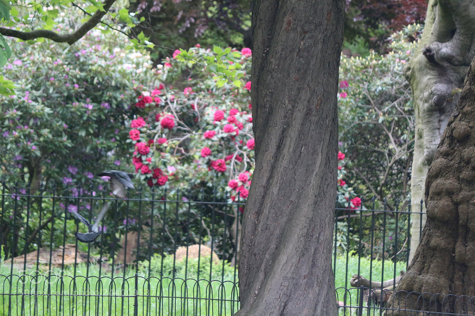 Canon EOS 650D (EOS Rebel T4i / EOS Kiss X6i) sample photo. Img photography