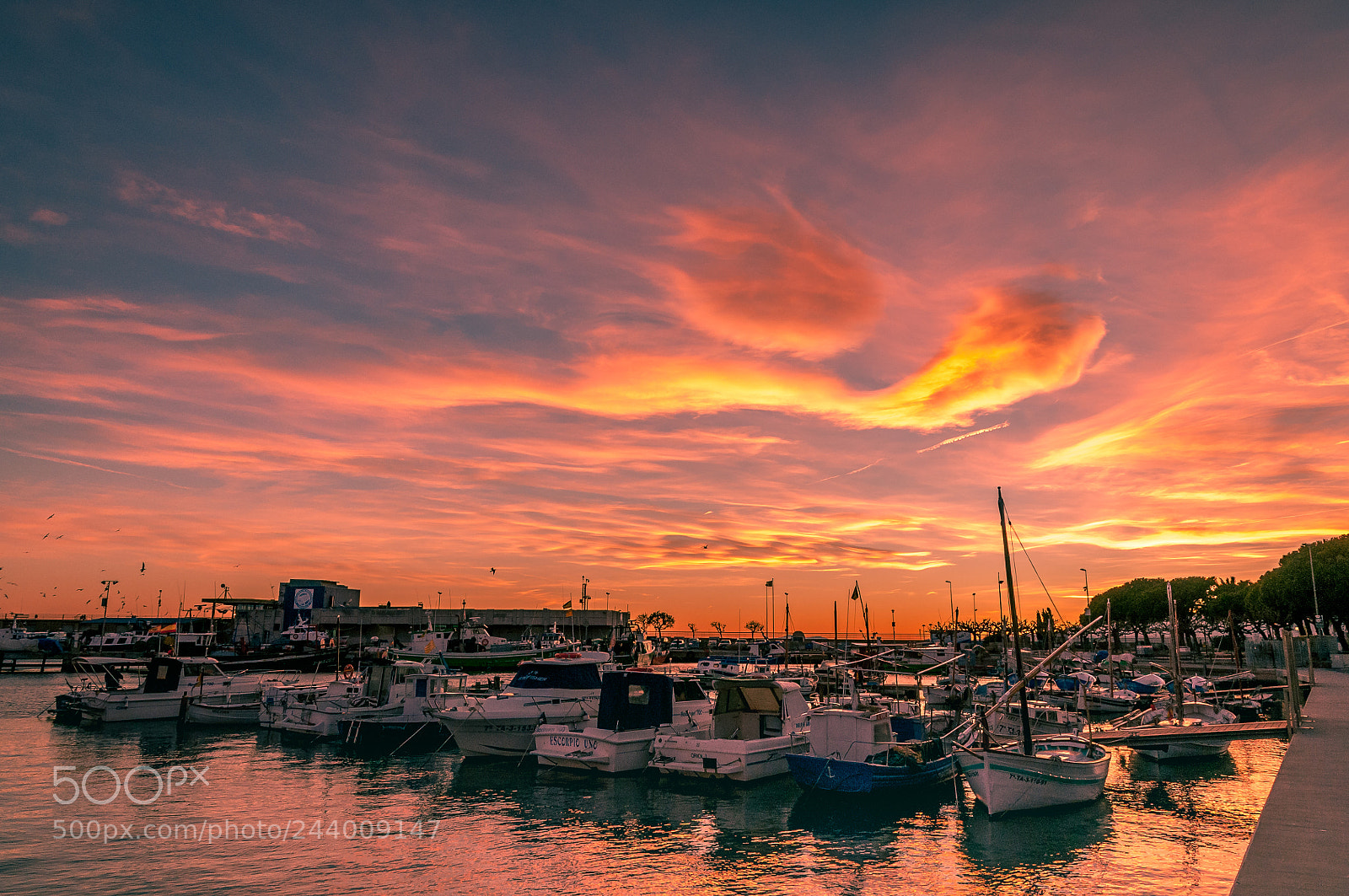 Nikon D300S sample photo. Le port photography