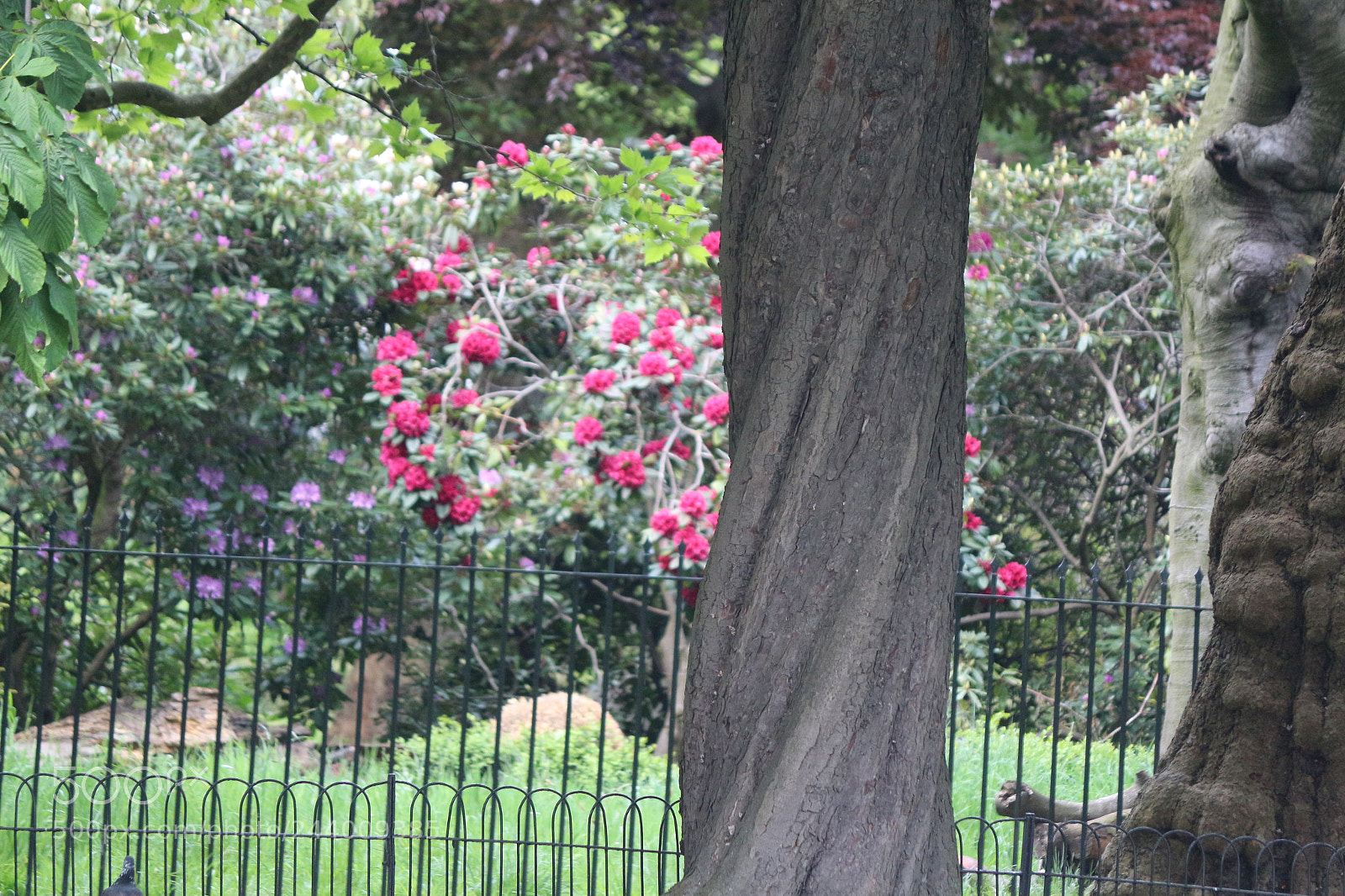 Canon EOS 650D (EOS Rebel T4i / EOS Kiss X6i) sample photo. Img photography