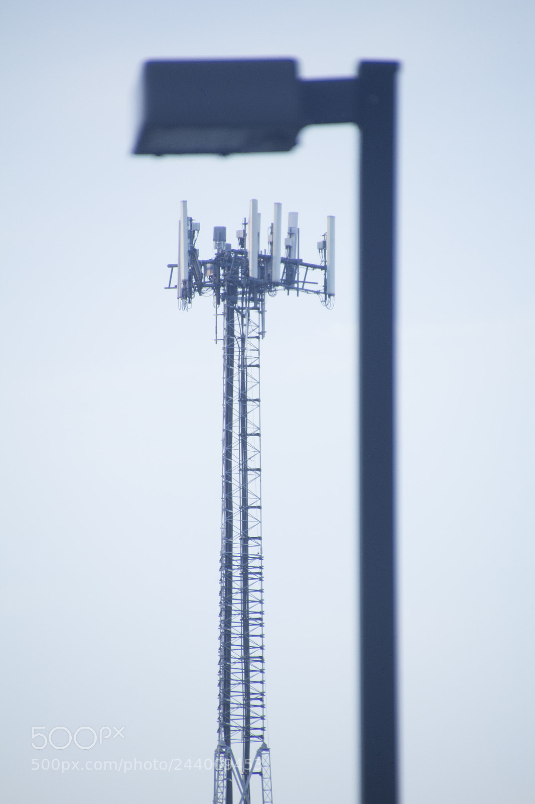 Canon EOS 1200D (EOS Rebel T5 / EOS Kiss X70 / EOS Hi) sample photo. Blurry vibrancy. 模糊的活力。 vitalidad borrosa ぼんやりした活気 photography