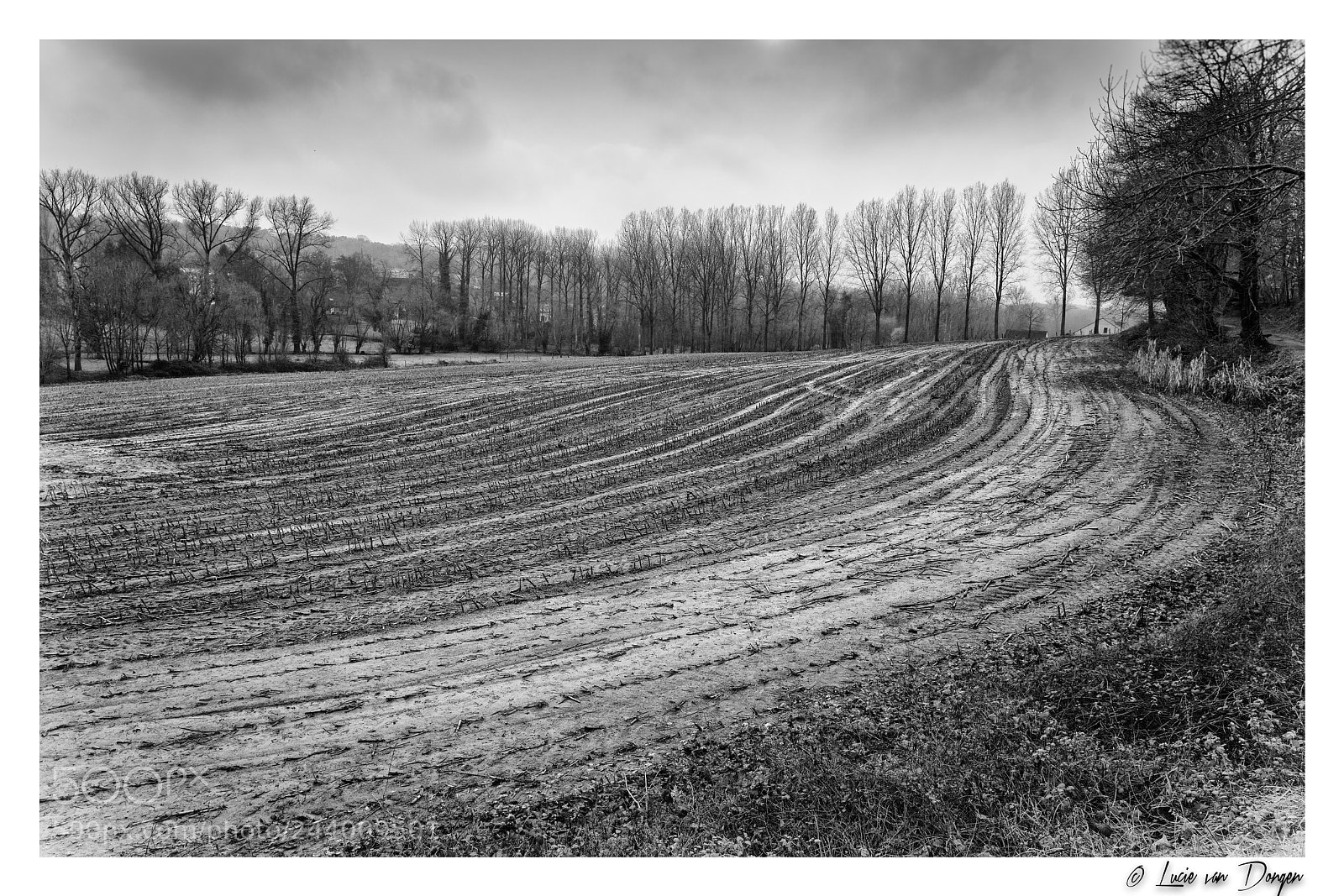 Sony a7R II sample photo. Curves photography