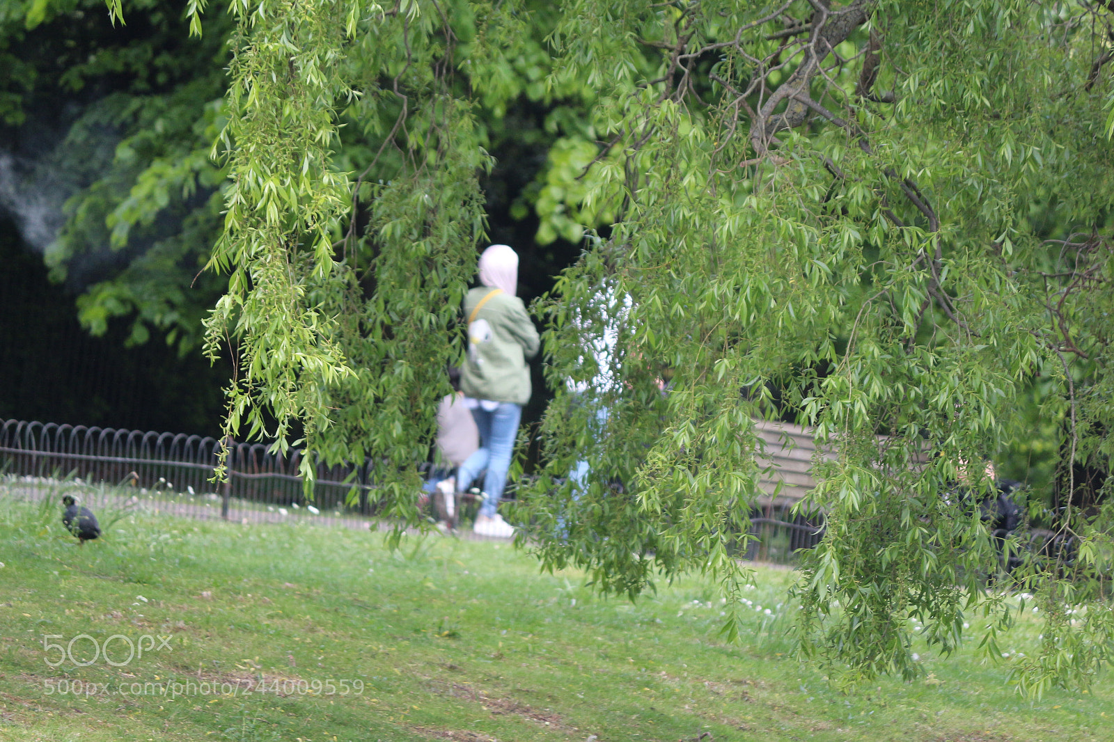 Canon EOS 650D (EOS Rebel T4i / EOS Kiss X6i) sample photo. Img photography