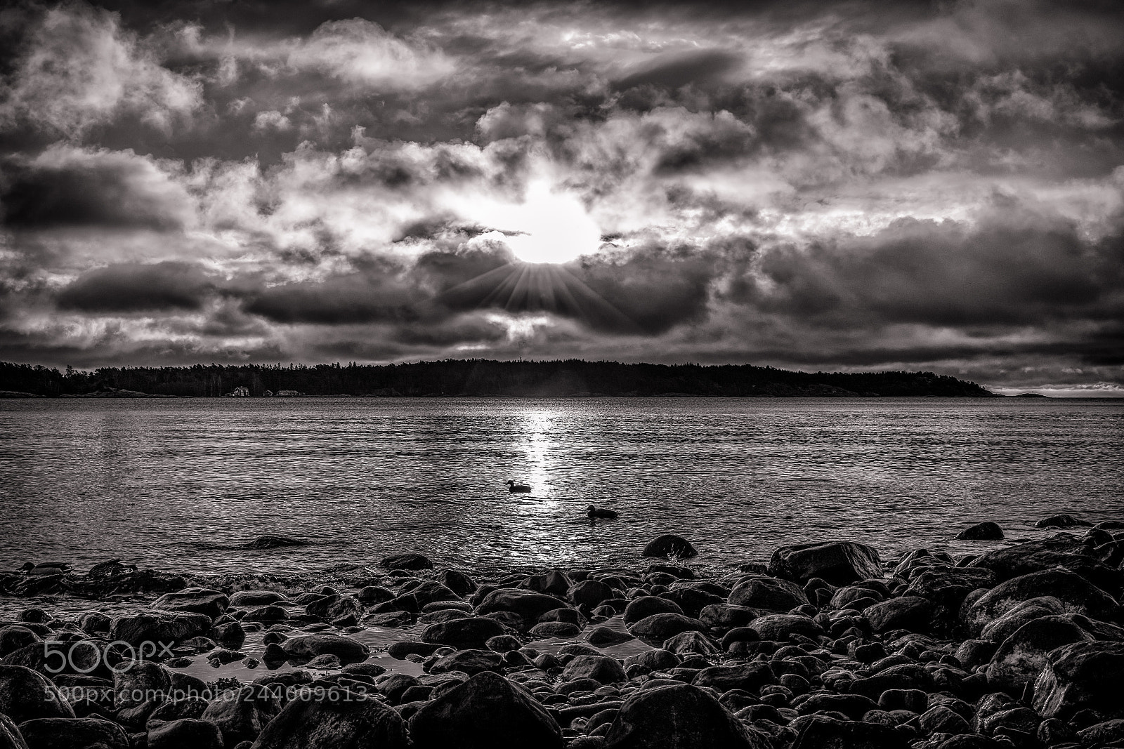 Nikon D850 sample photo. Nynäshamn,sunrise photography