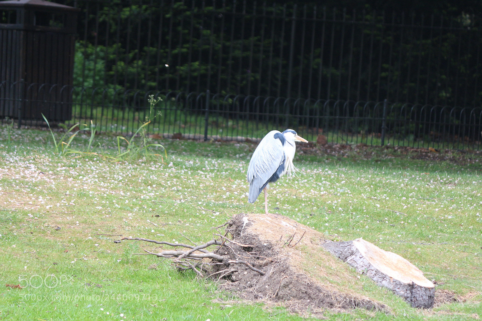 Canon EOS 650D (EOS Rebel T4i / EOS Kiss X6i) sample photo. Img photography