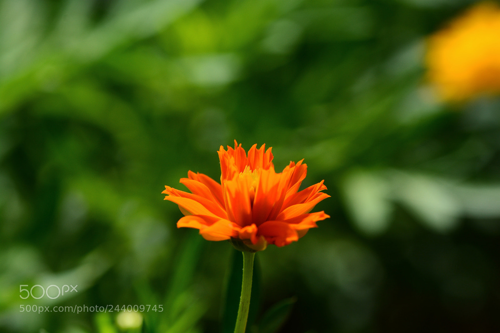 Nikon D7100 sample photo. Untitled photography