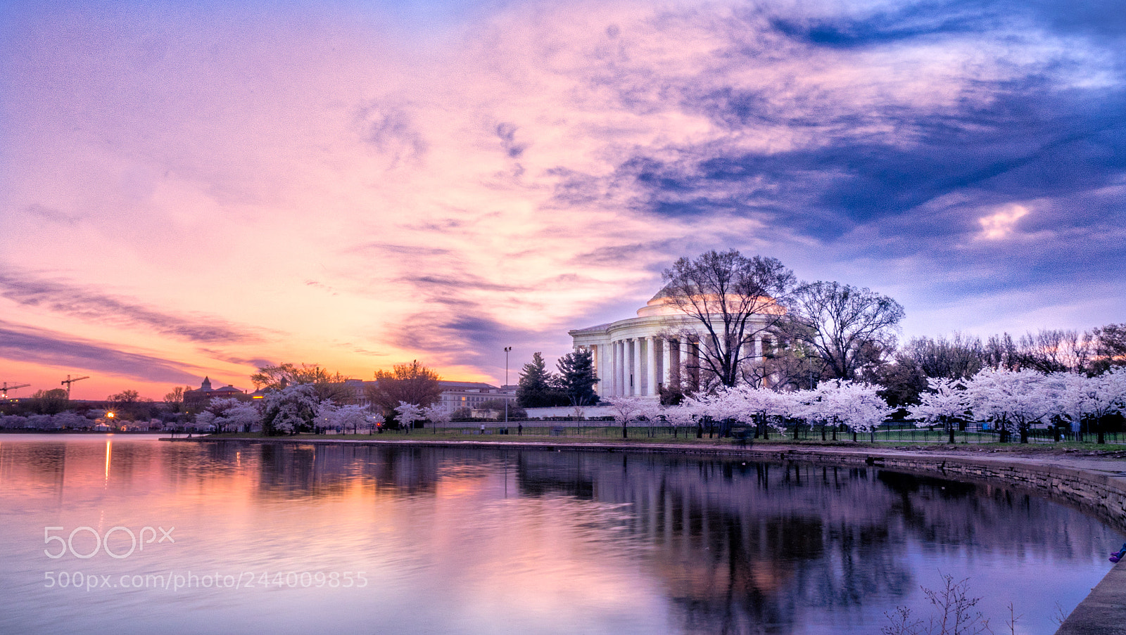 Olympus OM-D E-M1 sample photo. Sunrise with blossoms photography