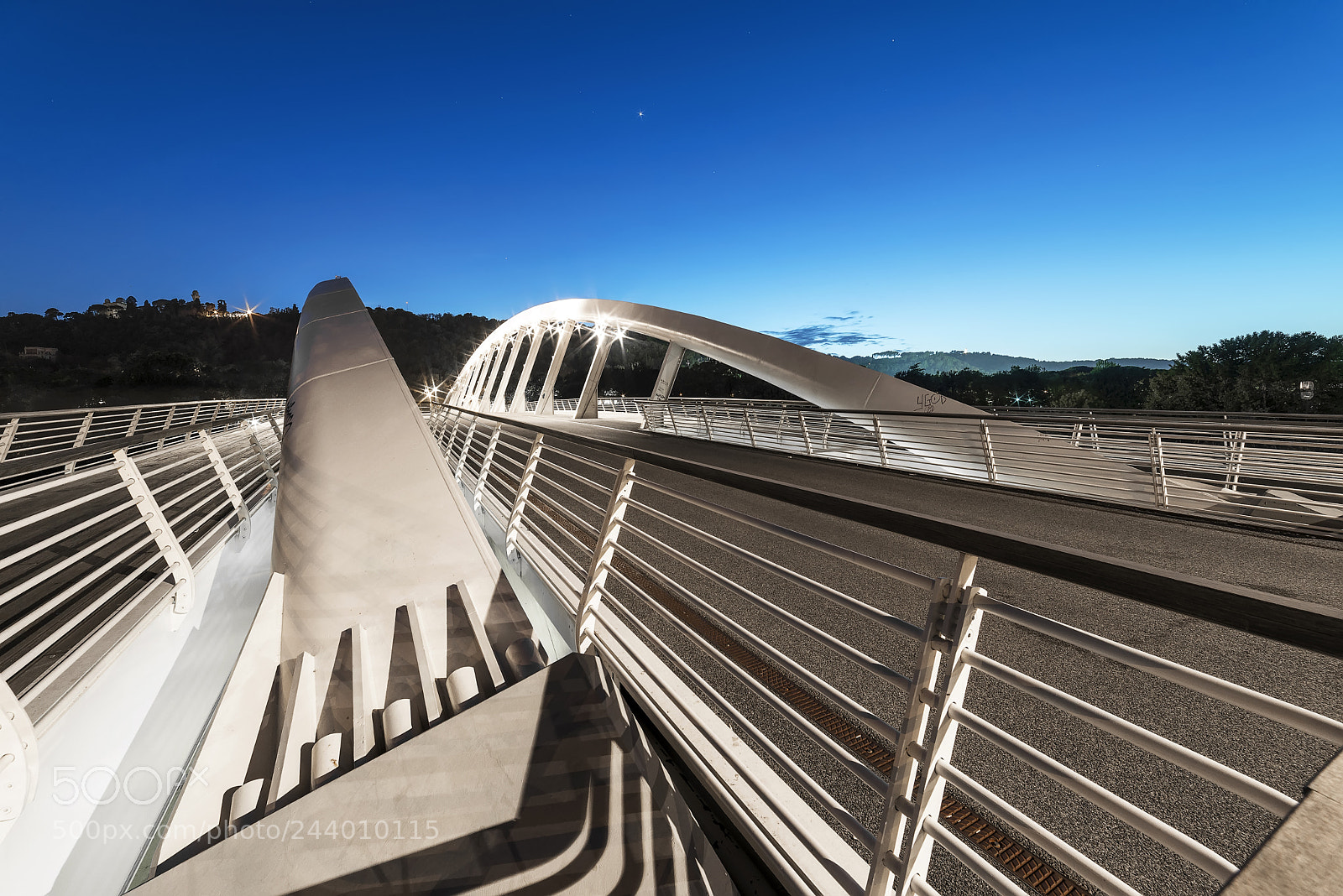 Nikon D600 sample photo. Ponte della musica photography
