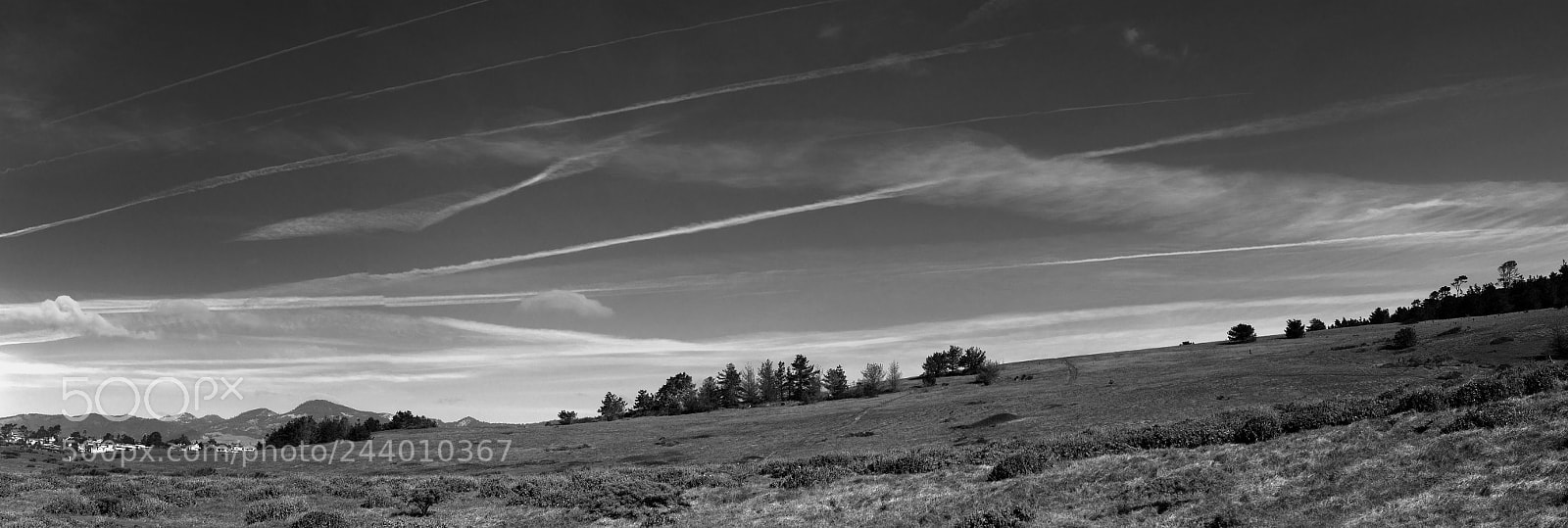 Sony a7R II sample photo. Contrails over pines photography