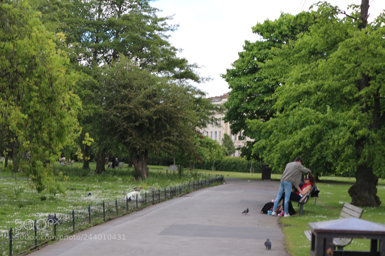 Canon EOS 650D (EOS Rebel T4i / EOS Kiss X6i) sample photo. Img photography