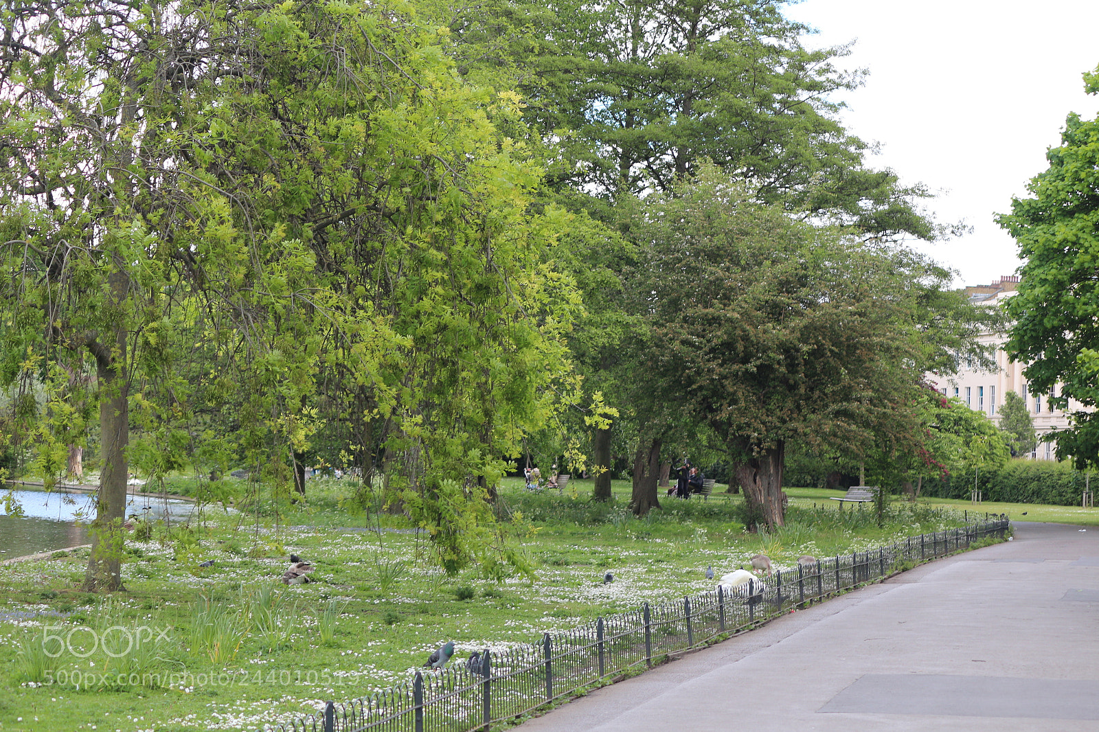 Canon EOS 650D (EOS Rebel T4i / EOS Kiss X6i) sample photo. Img photography