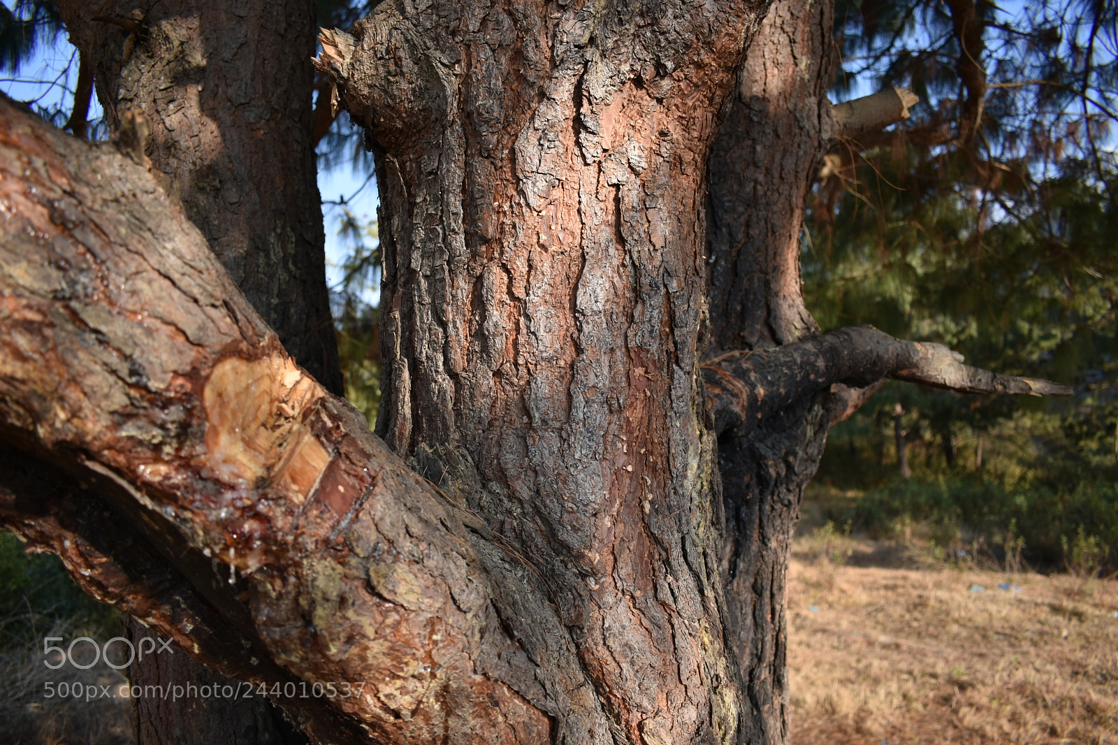 Nikon D3400 sample photo. Wrinkles photography