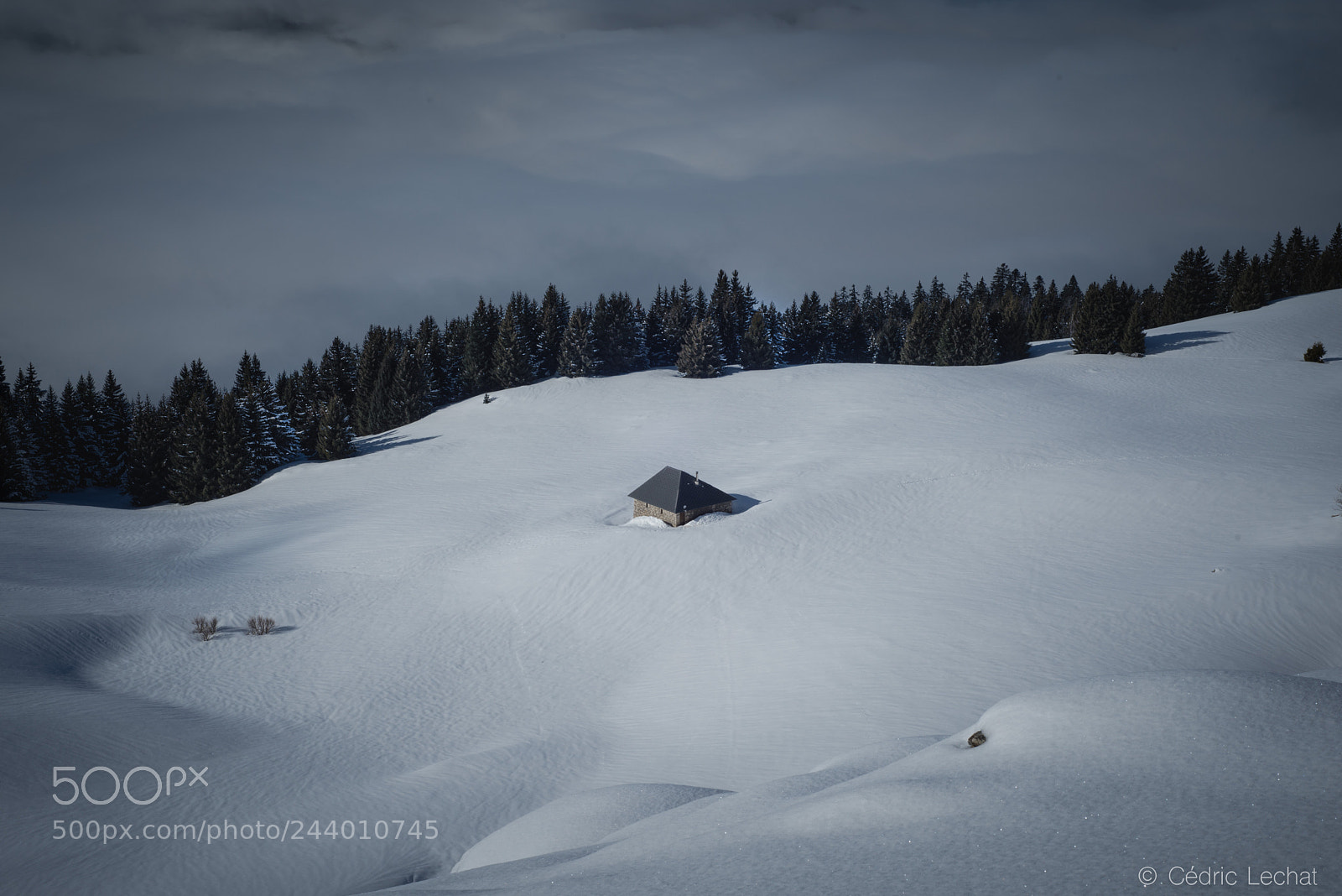 Nikon D610 sample photo. Intothewild photography