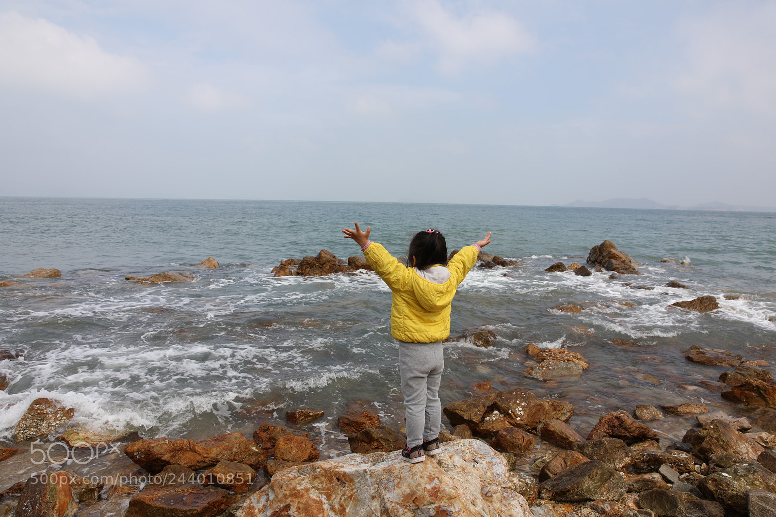 Canon EF 24-70mm F2.8L II USM sample photo. Untitled photography