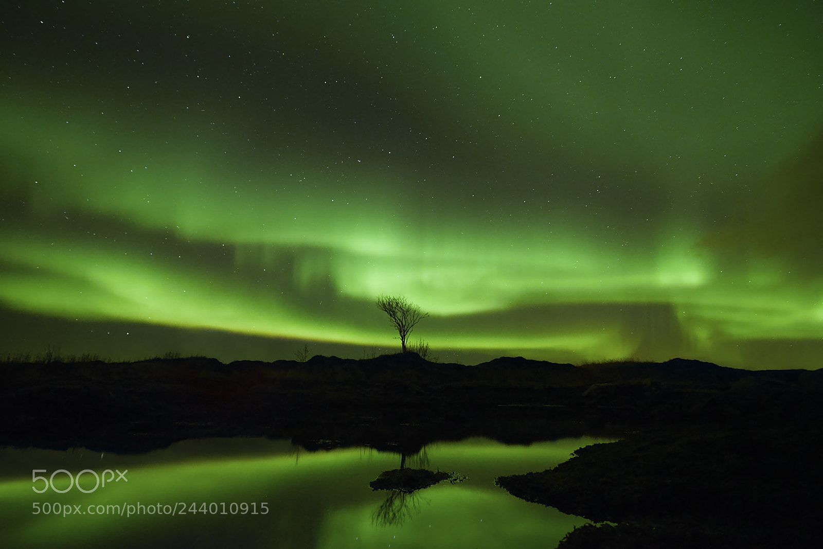 Sony a7 II sample photo. Aurora reflection ii. photography
