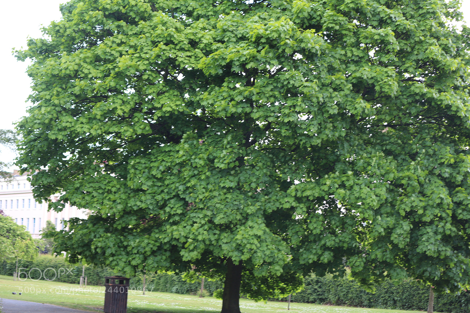 Canon EOS 650D (EOS Rebel T4i / EOS Kiss X6i) sample photo. Img photography