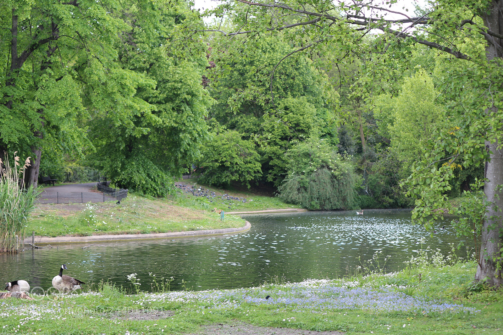 Canon EOS 650D (EOS Rebel T4i / EOS Kiss X6i) sample photo. Img photography