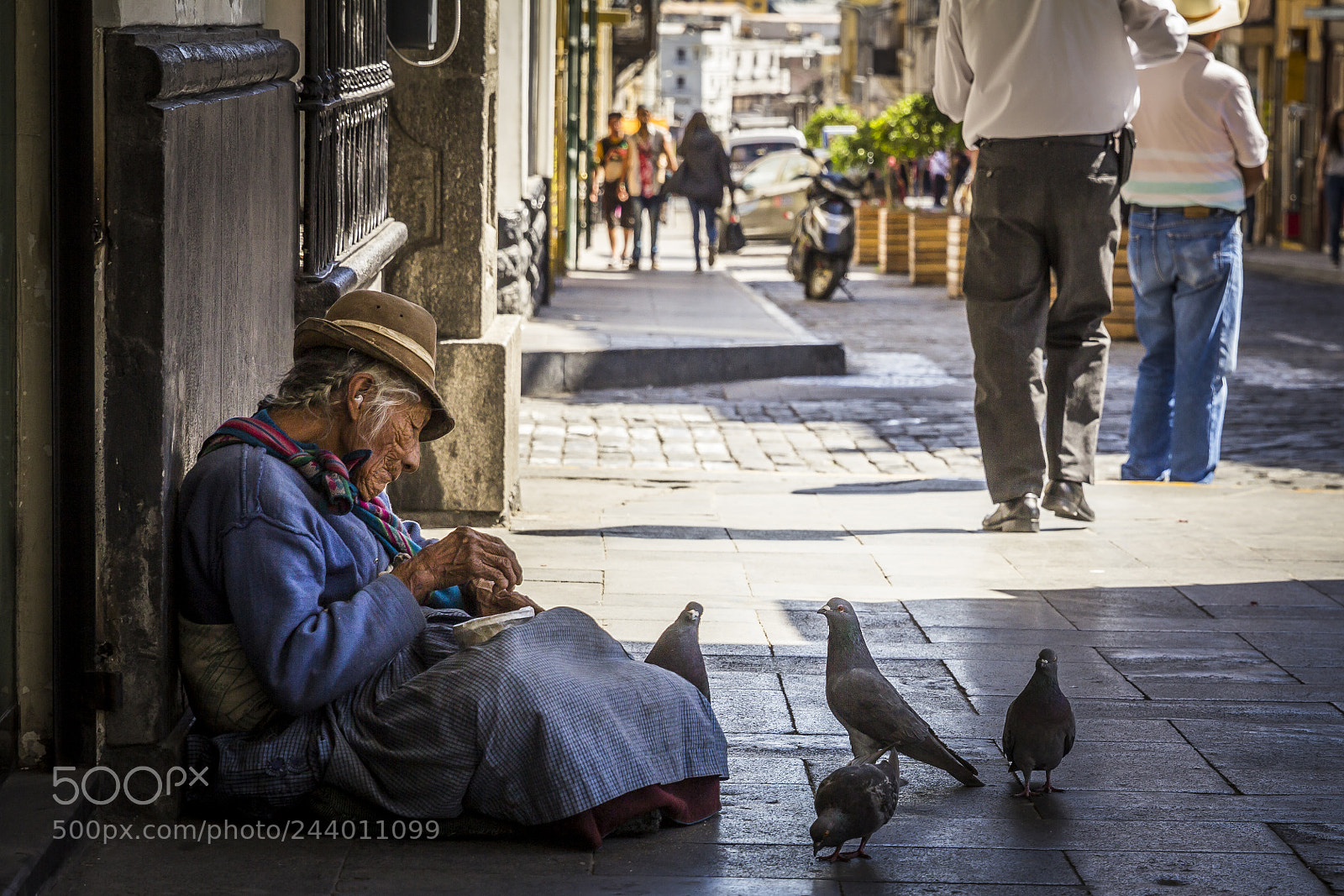 Canon EOS 60D sample photo. Friend of the pigeons photography