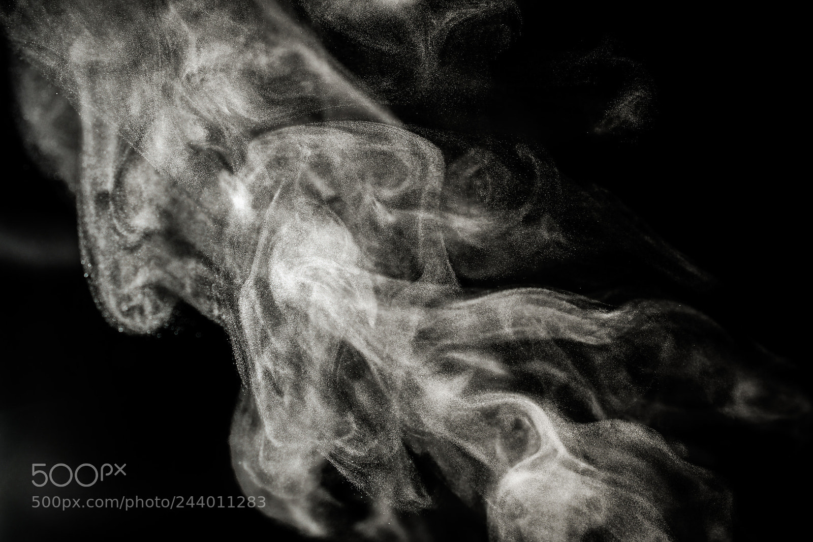 Nikon D7500 sample photo. The hidden the normal photography
