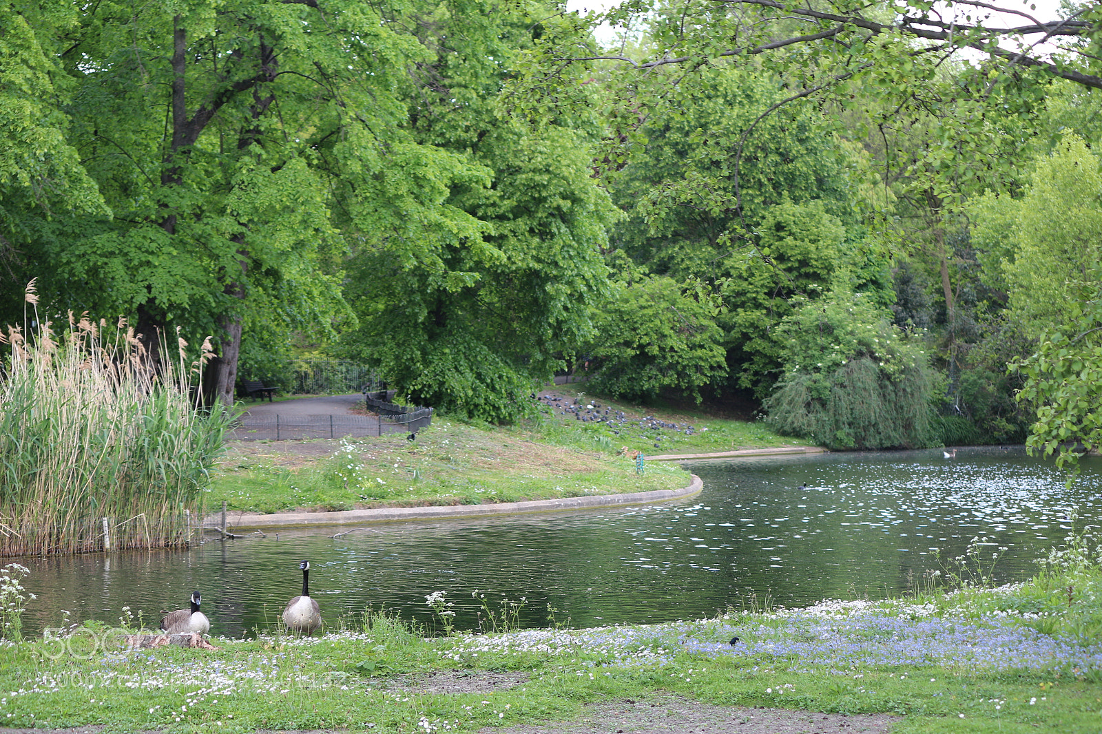 Canon EOS 650D (EOS Rebel T4i / EOS Kiss X6i) sample photo. Img photography