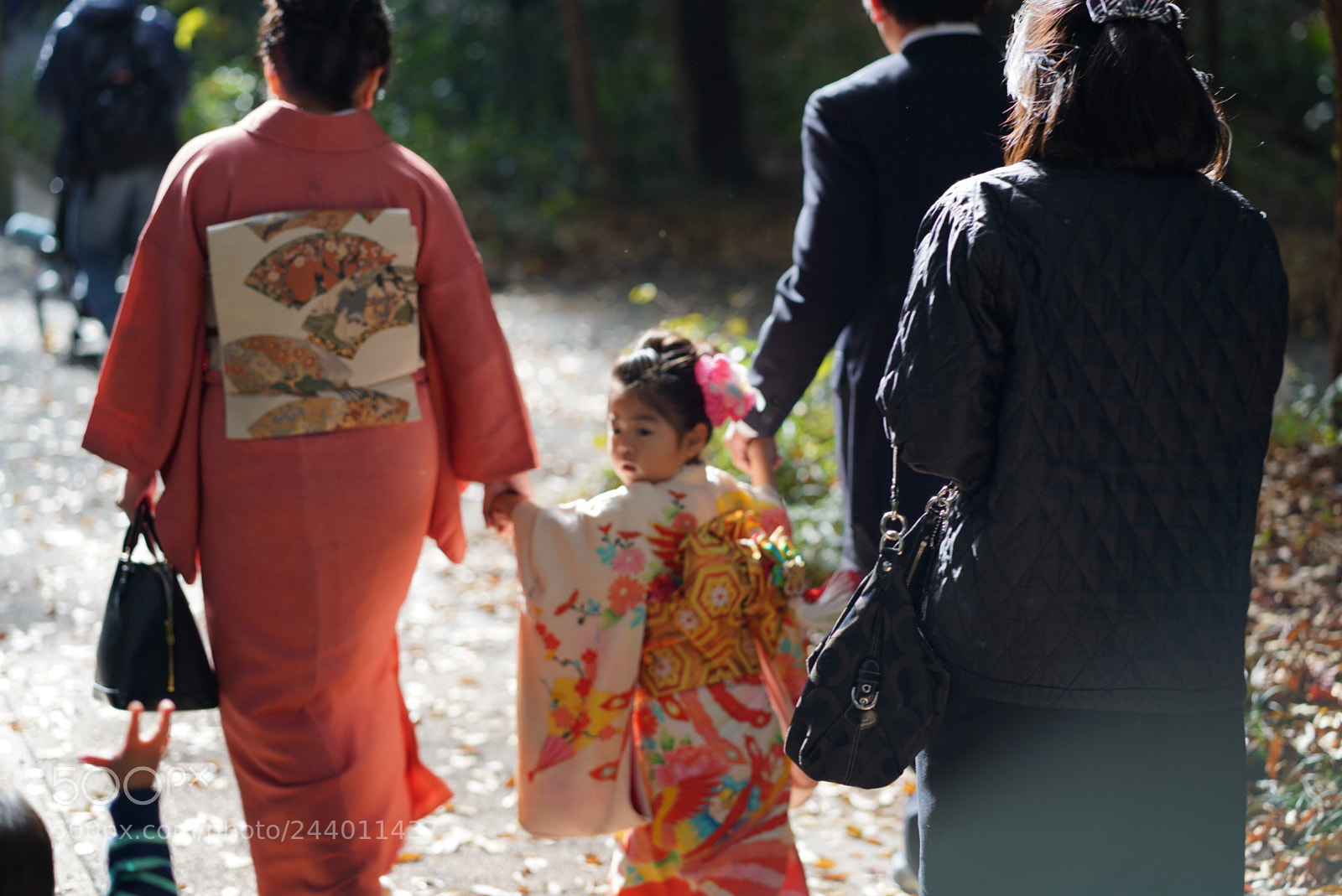Sony a7R III sample photo. Untitled photography