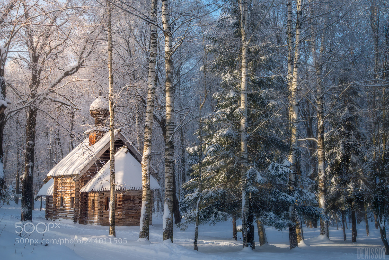 Nikon D610 sample photo. В лесу photography