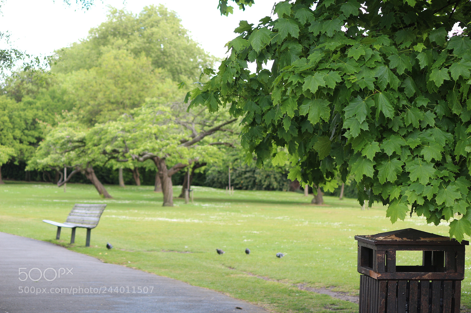 Canon EOS 650D (EOS Rebel T4i / EOS Kiss X6i) sample photo. Img photography