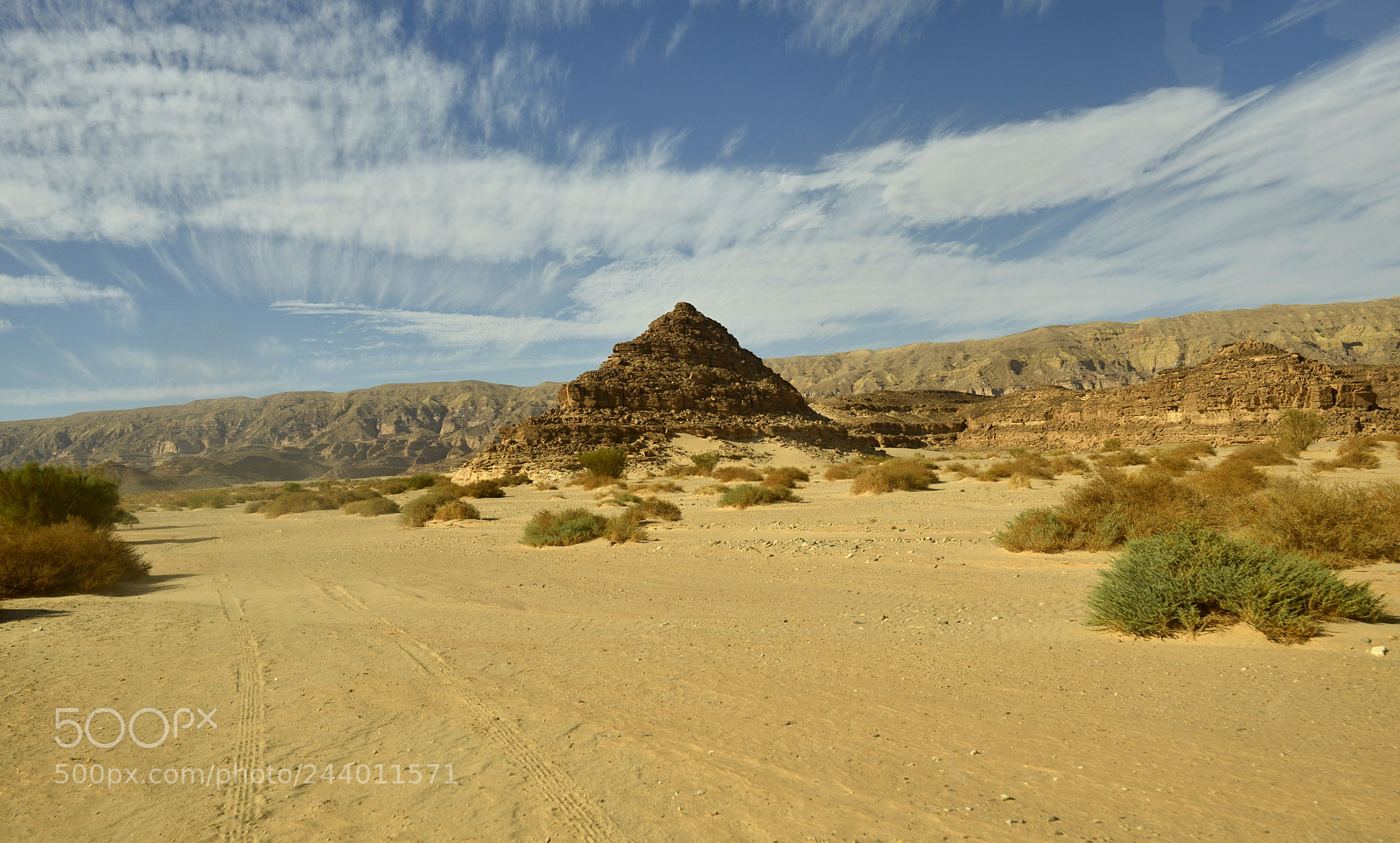 Nikon D800 sample photo. Homole photography