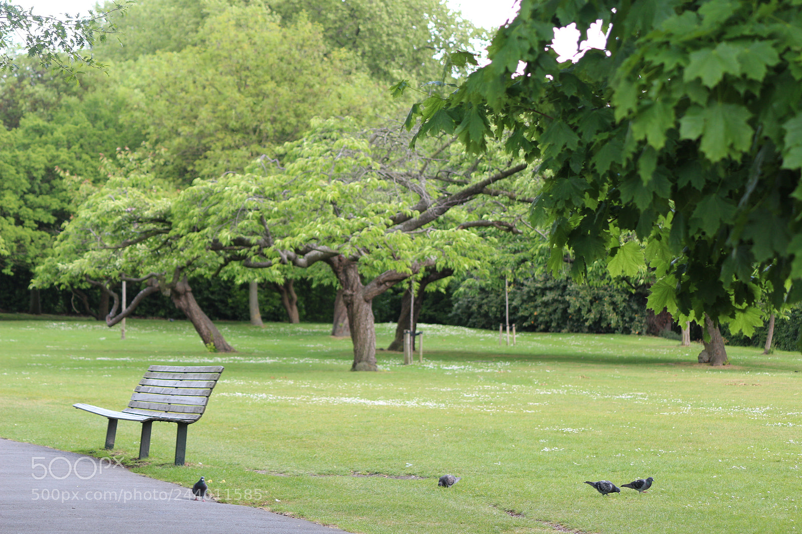 Canon EOS 650D (EOS Rebel T4i / EOS Kiss X6i) sample photo. Img photography