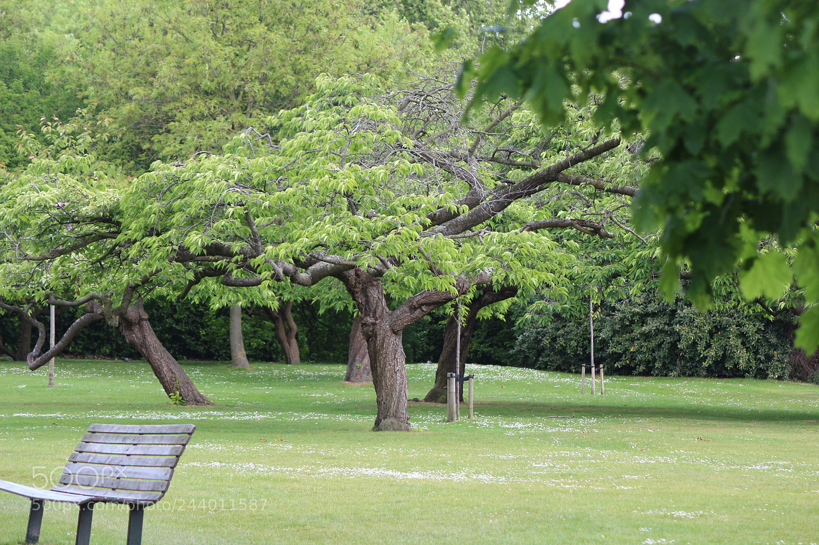 Canon EOS 650D (EOS Rebel T4i / EOS Kiss X6i) sample photo. Img photography