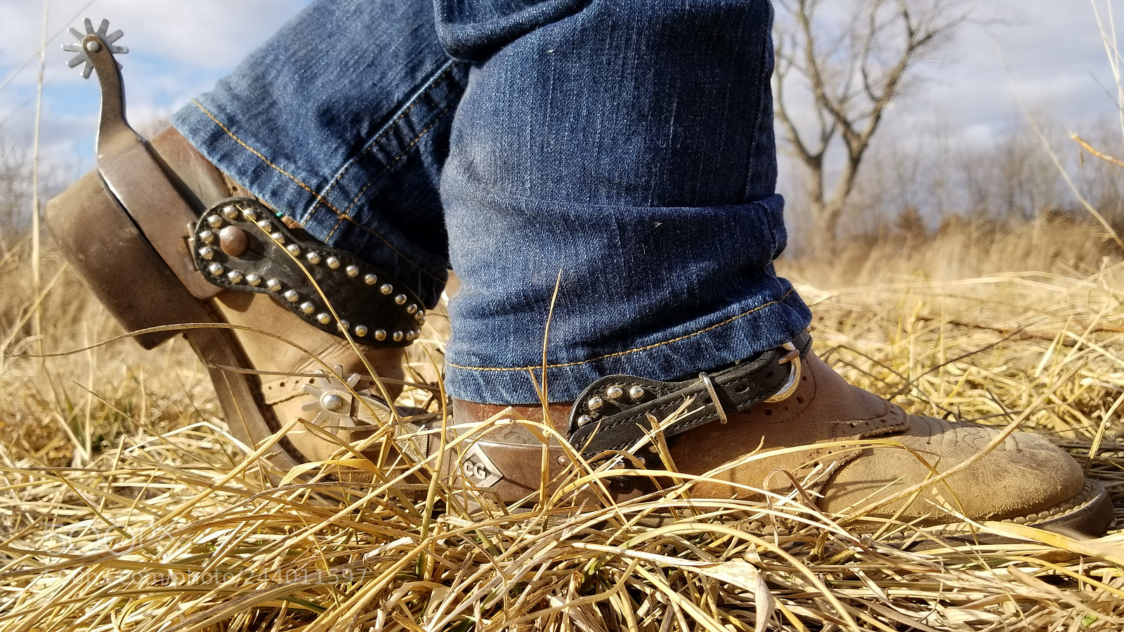 Samsung Galaxy S8 sample photo. Untitled photography