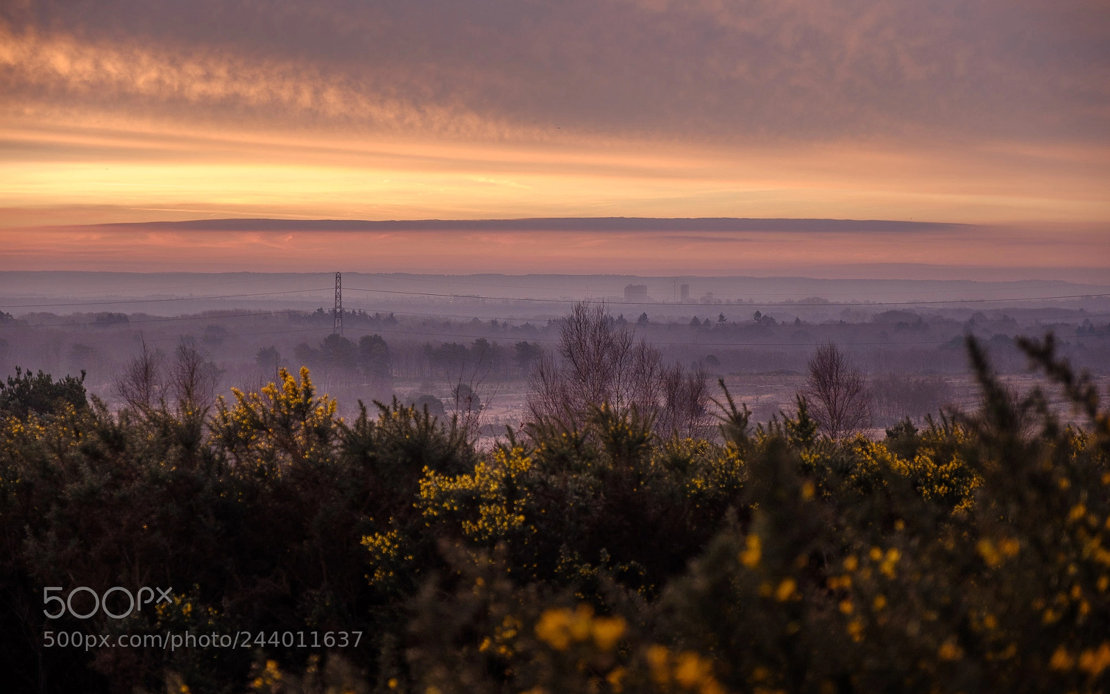 Fujifilm X-Pro2 sample photo. View from chobham common photography