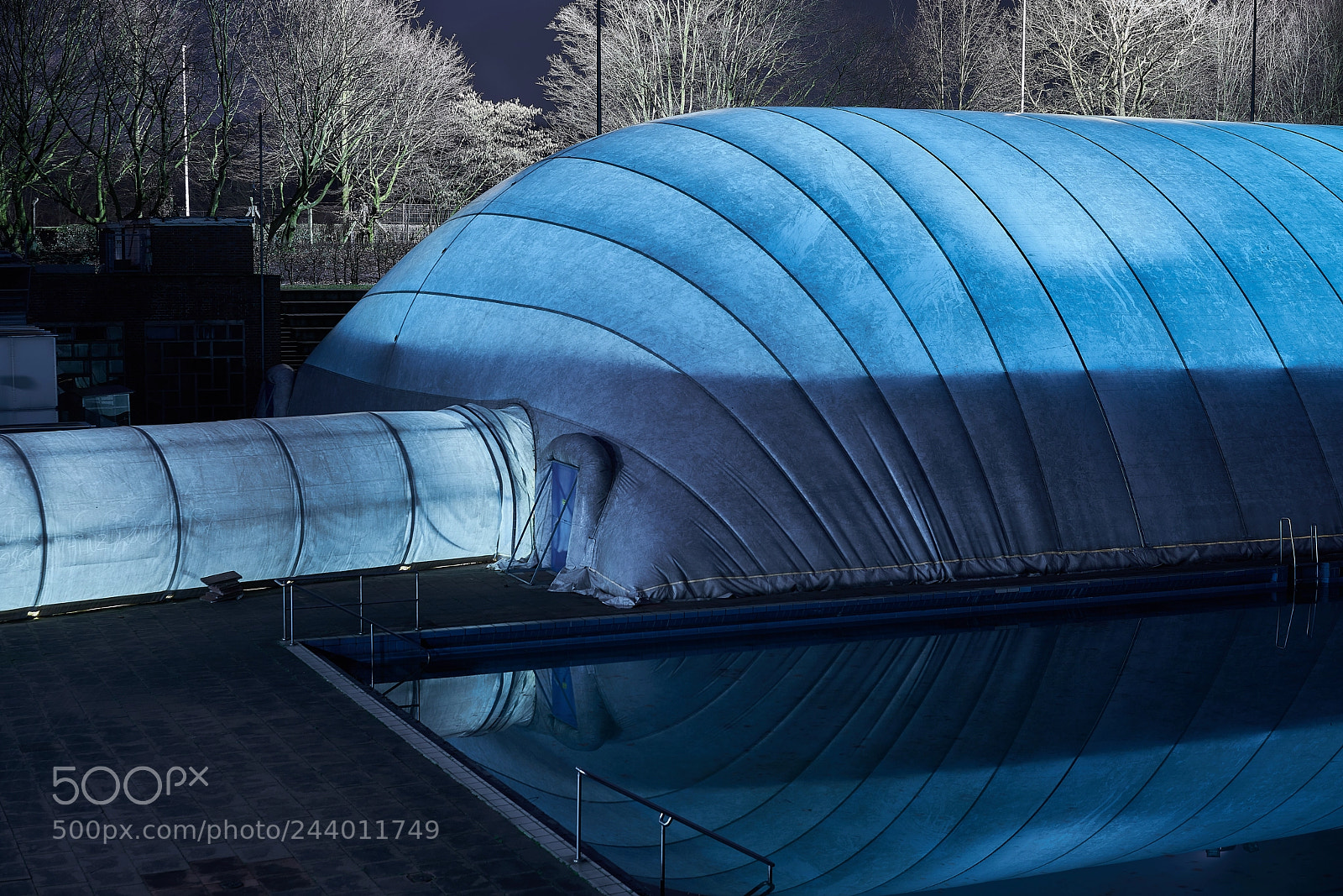Sony a7R II sample photo. Schwimmen im winter photography