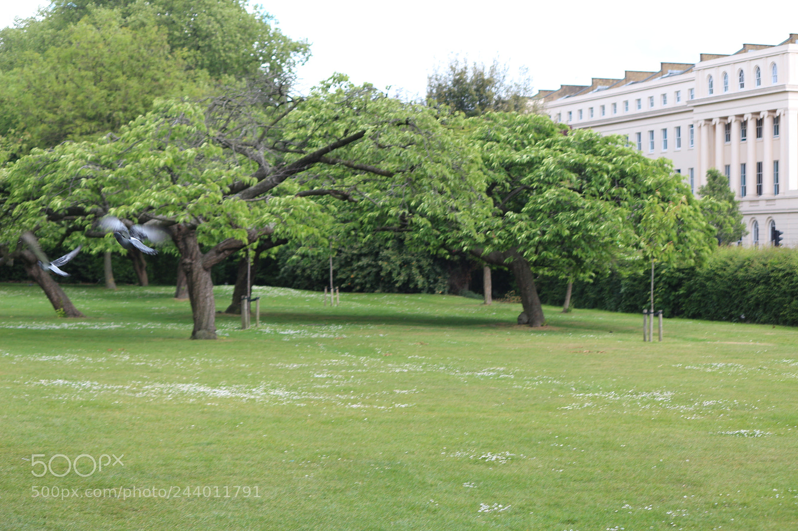 Canon EOS 650D (EOS Rebel T4i / EOS Kiss X6i) sample photo. Img photography
