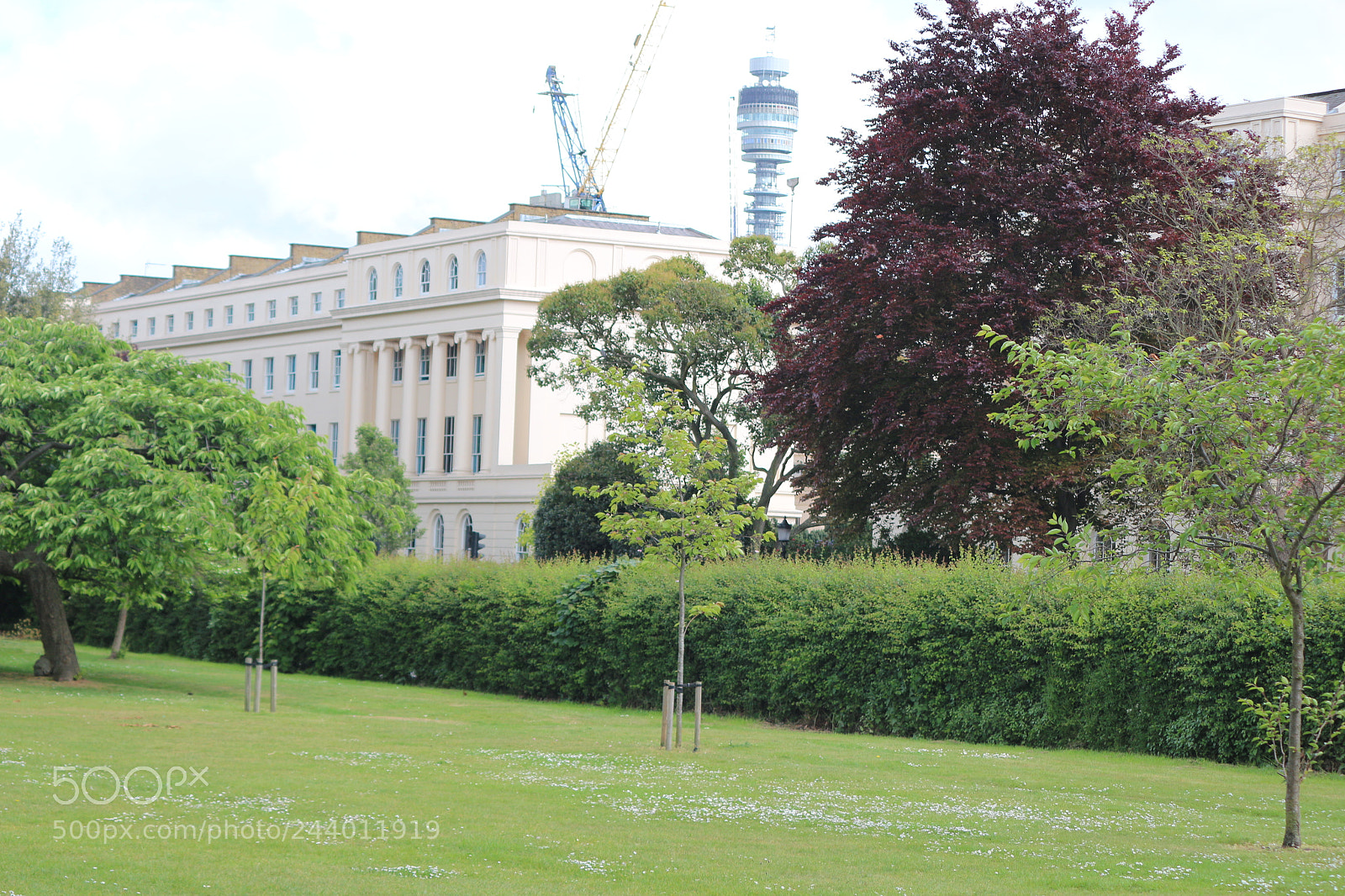 Canon EOS 650D (EOS Rebel T4i / EOS Kiss X6i) sample photo. Img photography
